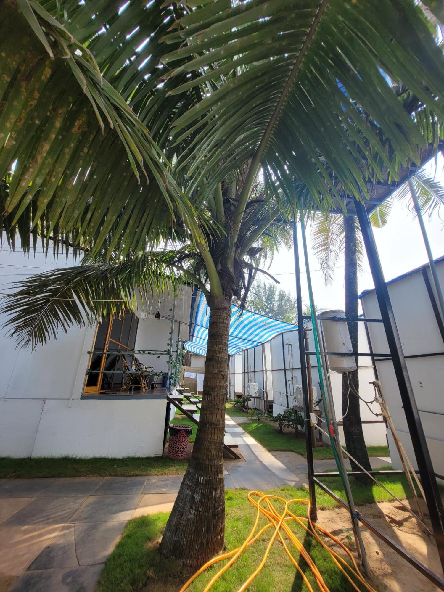 Kashinath Beach Huts 阿贡达 外观 照片